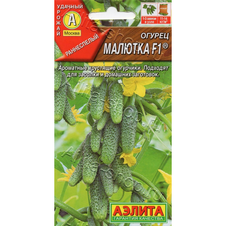 МАЛЮТКА