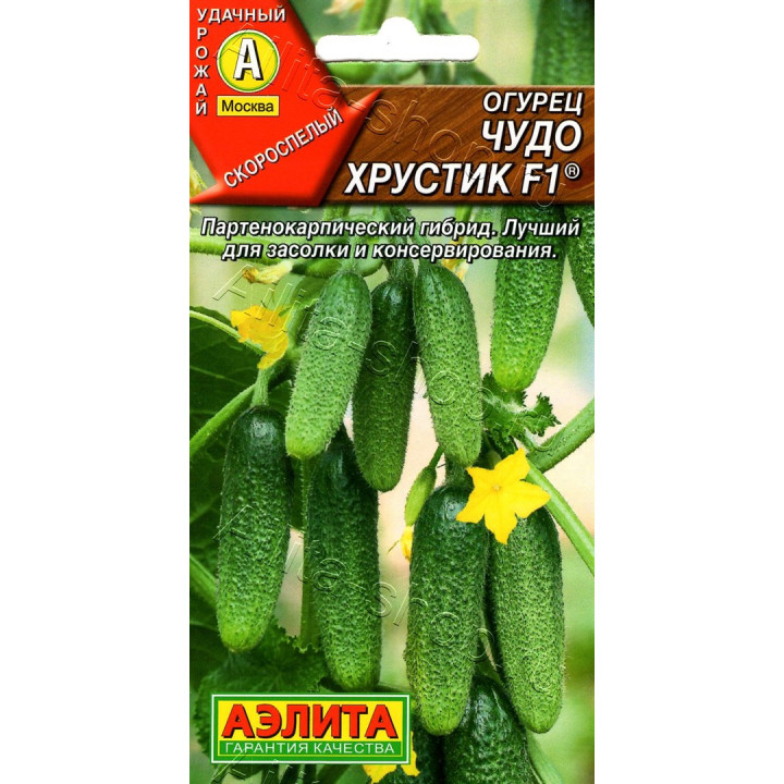 ЧУДО ХРУСТИК