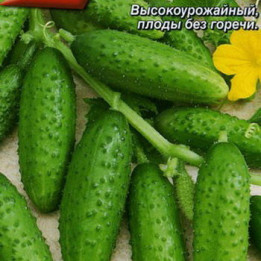 ВУЛКАН