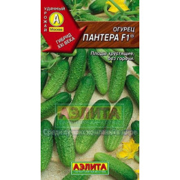 ПАНТЕРА