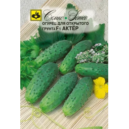 АКТЕР