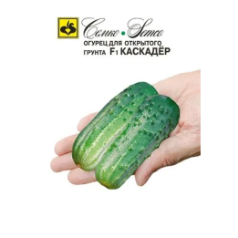 КАСКАДЕР