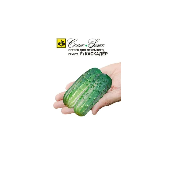 КАСКАДЕР