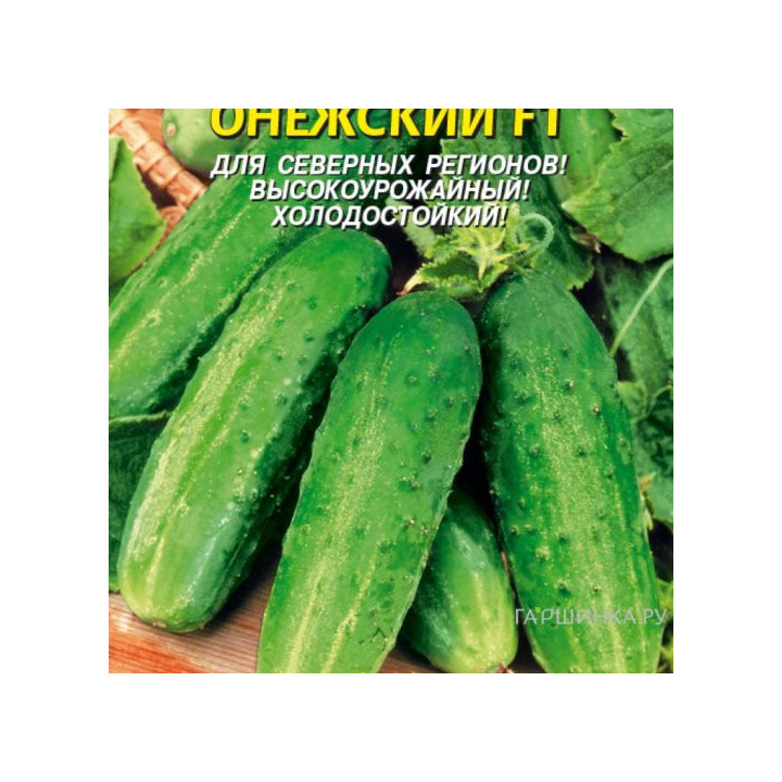 ОНЕЖСКИЙ