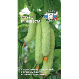 НЕВЕСТА