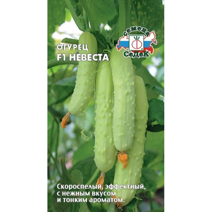НЕВЕСТА