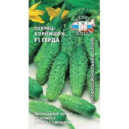 ГЕРДА