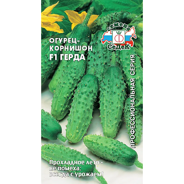 ГЕРДА