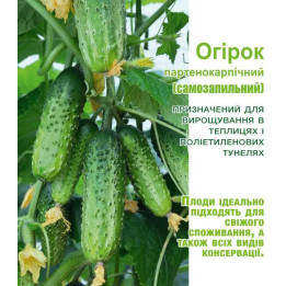 ДОН ЖУАН