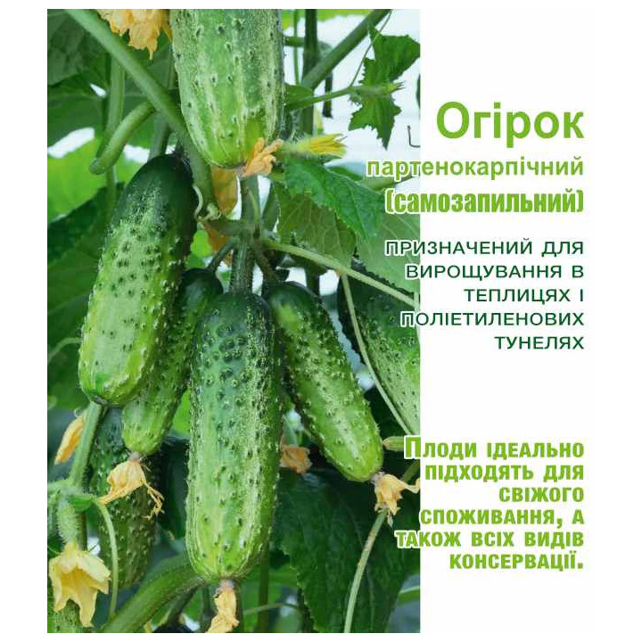 ДОН ЖУАН