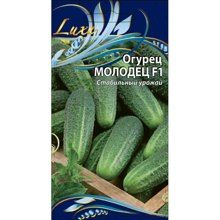 МОЛОДЕЦ