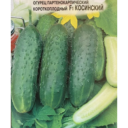 КОСИНСКИЙ