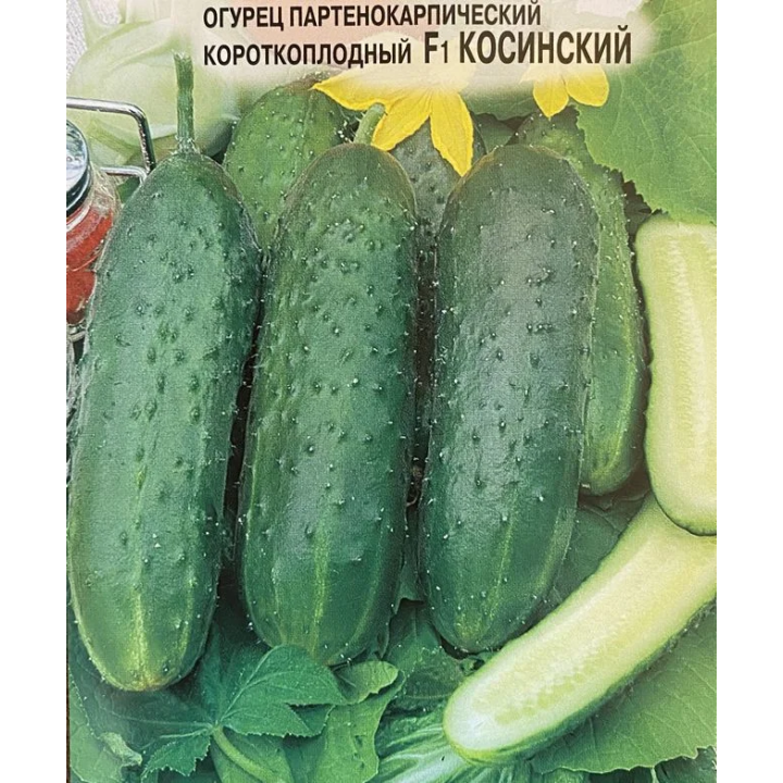 КОСИНСКИЙ