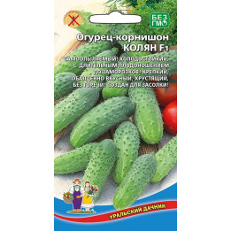 КОЛЯН