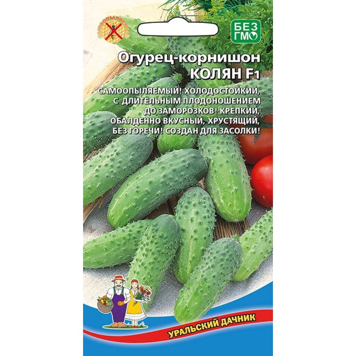 КОЛЯН