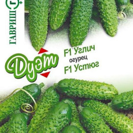 УГЛИЧ