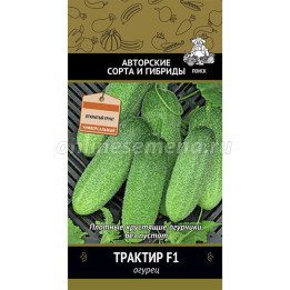 ТРАКТИР