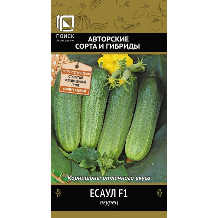 ЕСАУЛ