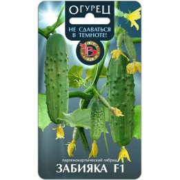 ЗАБИЯКА