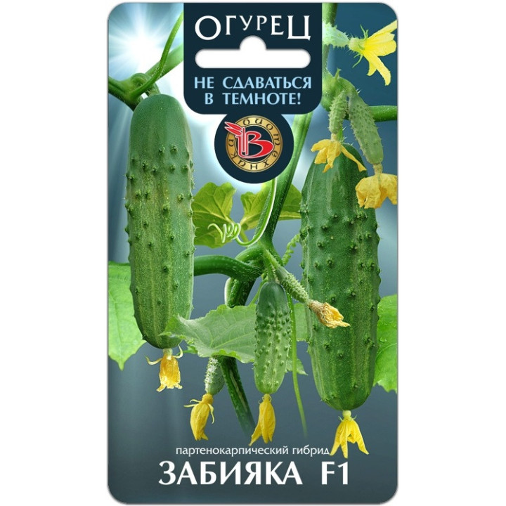 ЗАБИЯКА