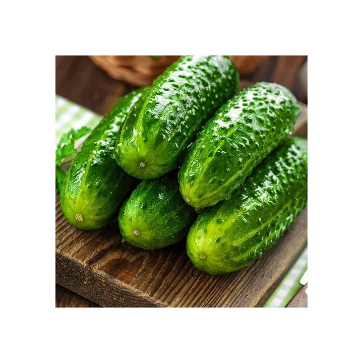 ЭЛЬФ