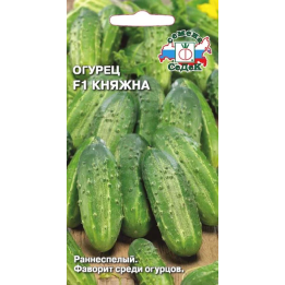 КНЯЖНА