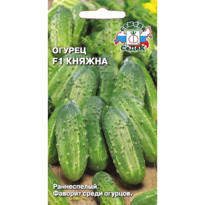КНЯЖНА