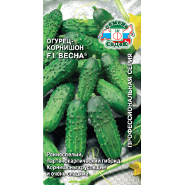 ВЕСНА