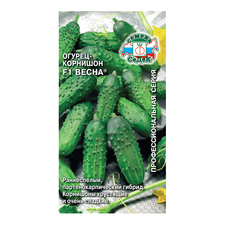 ВЕСНА