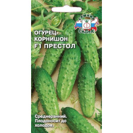 ПРЕСТОЛ