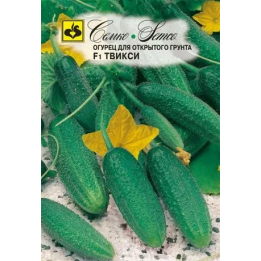 ТВИКСИ