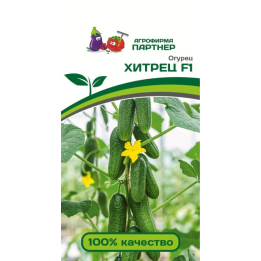 ПАРТНЕР