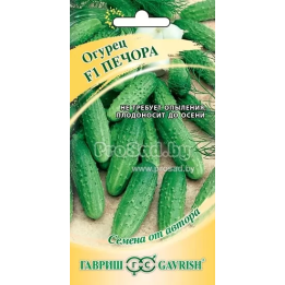 ПЕЧОРА