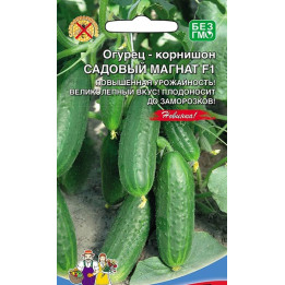 МАГНАТ