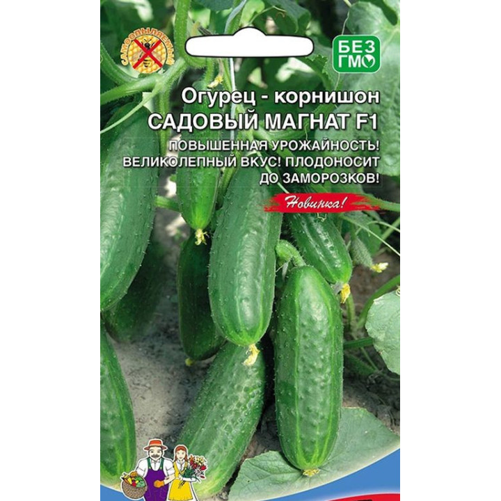 МАГНАТ