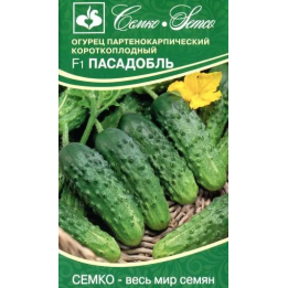 ПАСАДОБЛЬ