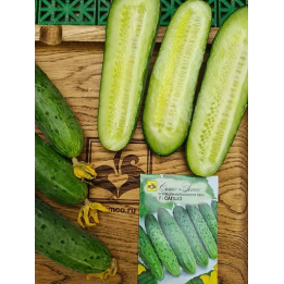 САПШО