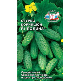ПОЛИНА