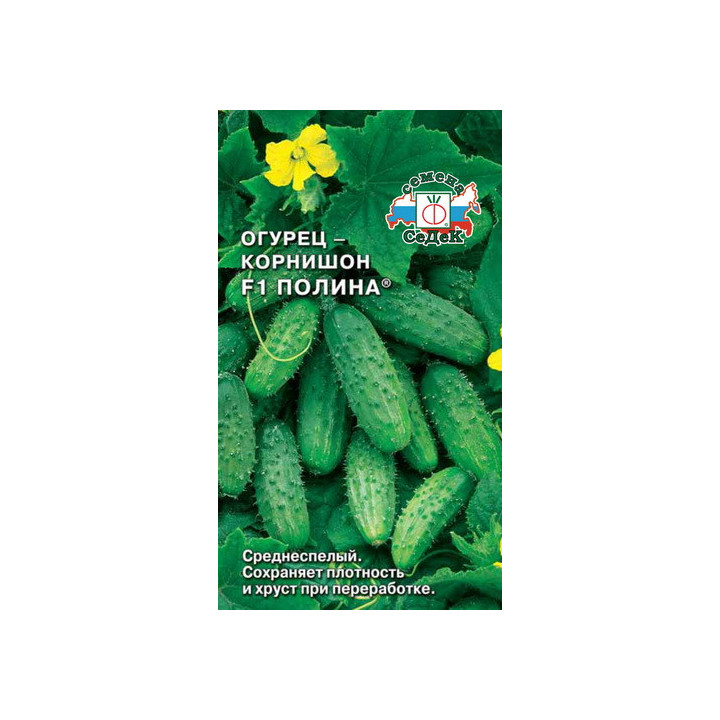 ПОЛИНА