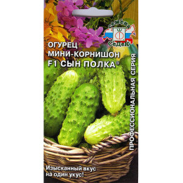 СЫН ПОЛКА