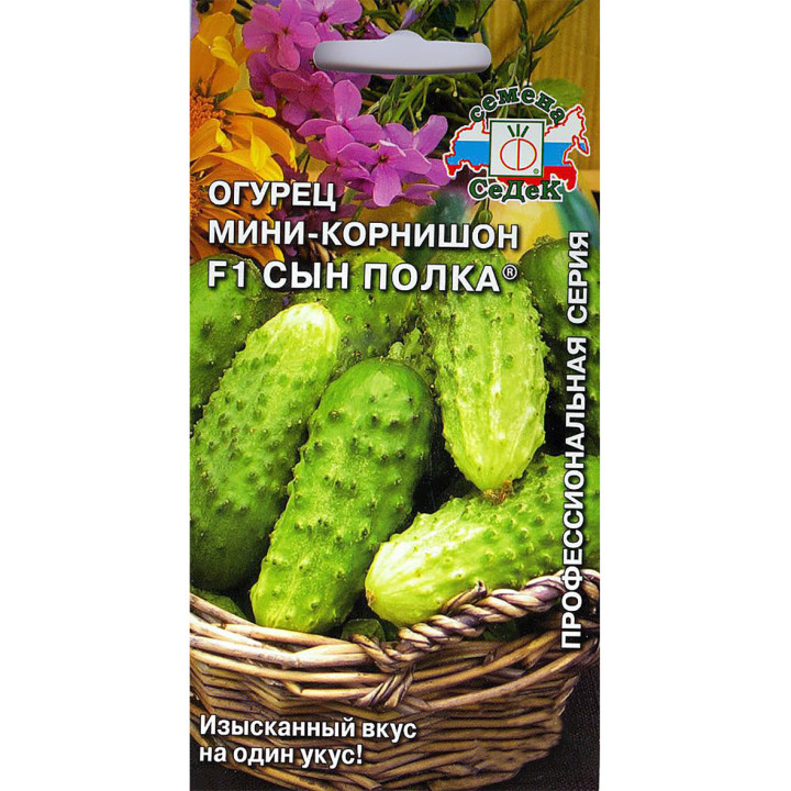СЫН ПОЛКА