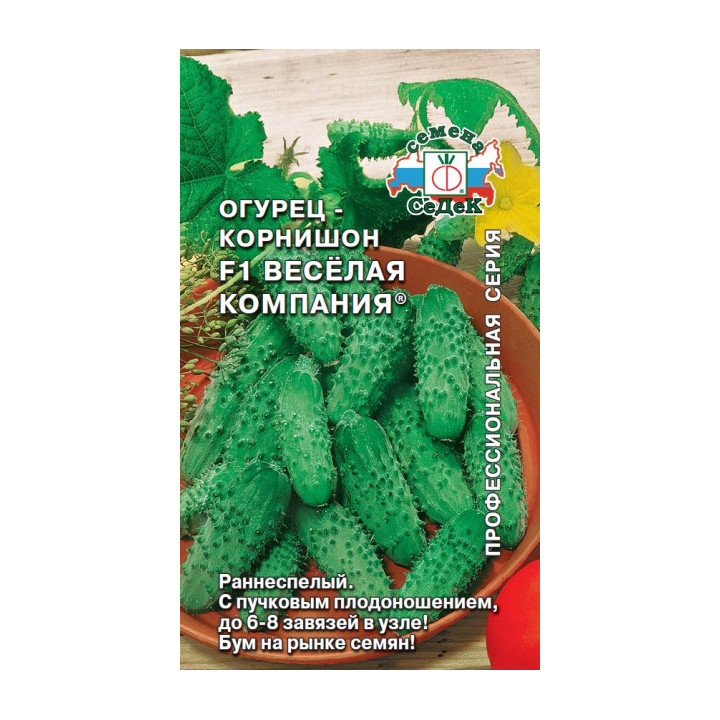 ВЕСЕЛАЯ КОМПАНИЯ