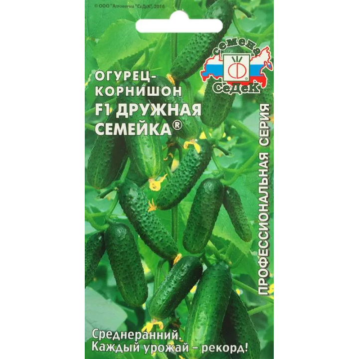 ДРУЖНАЯ СЕМЕЙКА
