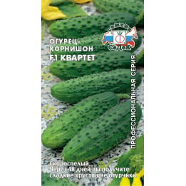 КВАРТЕТ