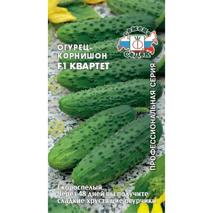КВАРТЕТ