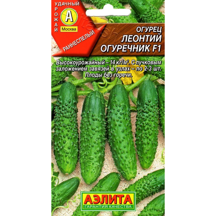 ЛЕОНТИЙ ОГУРЕЧНИК