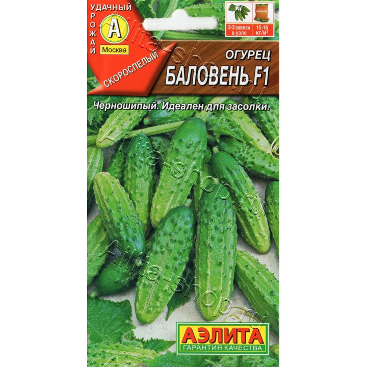 БАЛОВЕНЬ