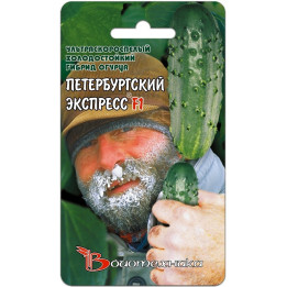 ПЕТЕРБУРГСКИЙ ЭКСПРЕСС