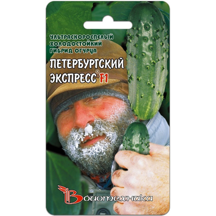 ПЕТЕРБУРГСКИЙ ЭКСПРЕСС