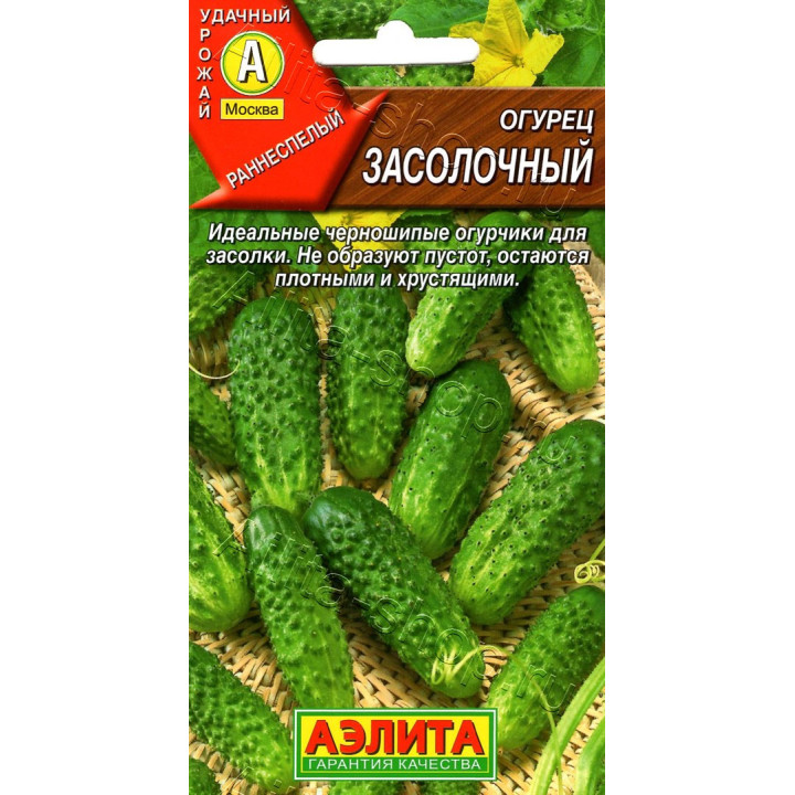 ЗАСОЛОЧНЫЙ
